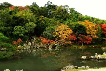 <p>Taman ini didisain oleh Muso-kokushi (Muso Soseki) sekitar 700 tahun yang lalu</p>